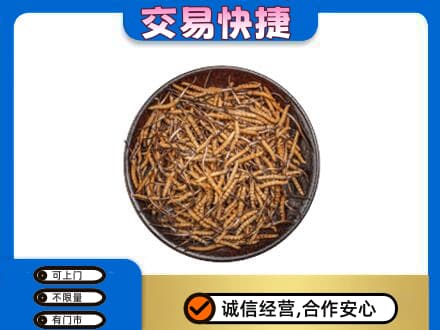 乐昌市高价回收散虫草
